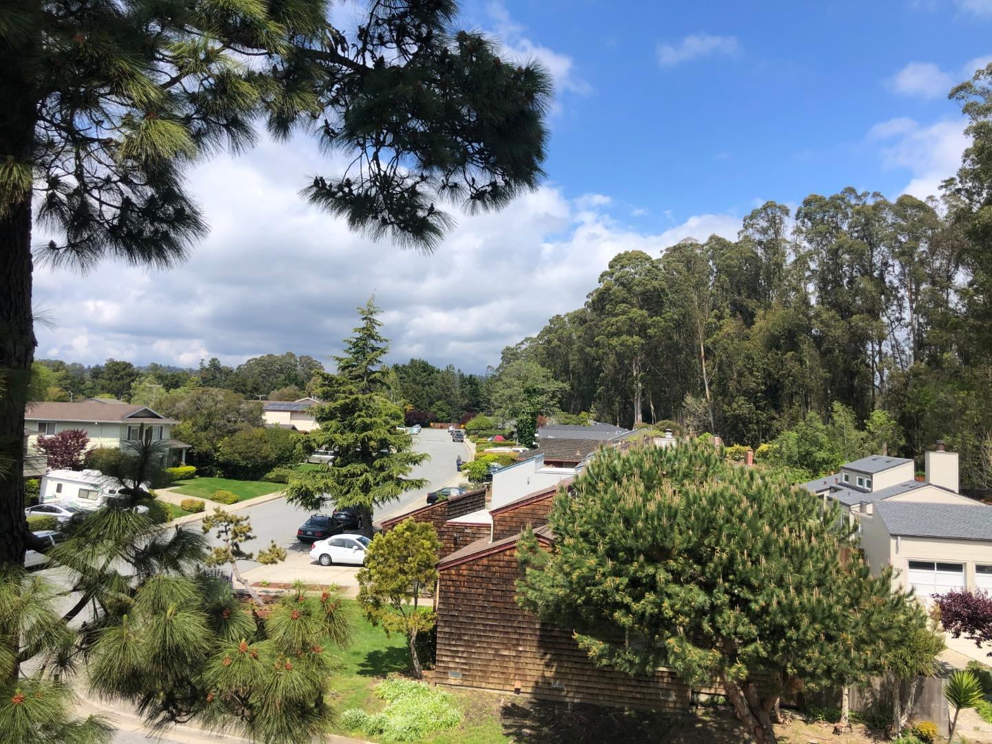 Park Av 302, Capitola, CA 95010 Dragon1USA